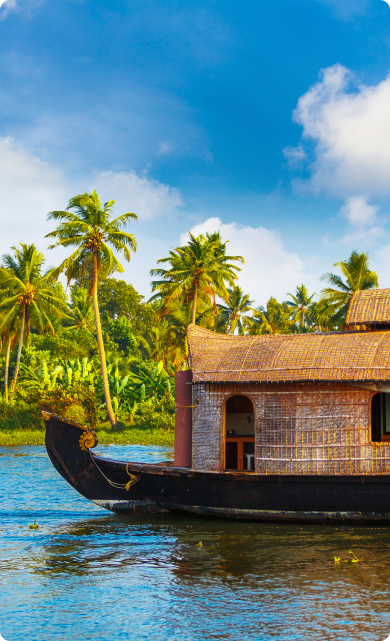 Authentic South India