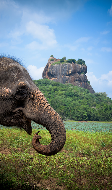 Island of the Indian Ocean