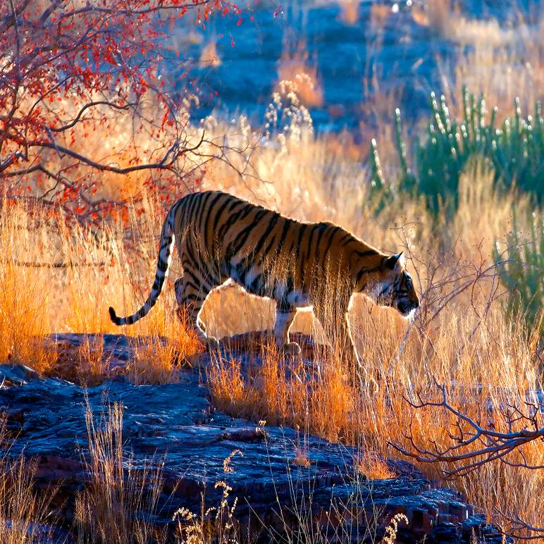 ‘We are a people of the gathering’