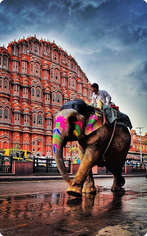 Rajasthan’s Royal Legacy